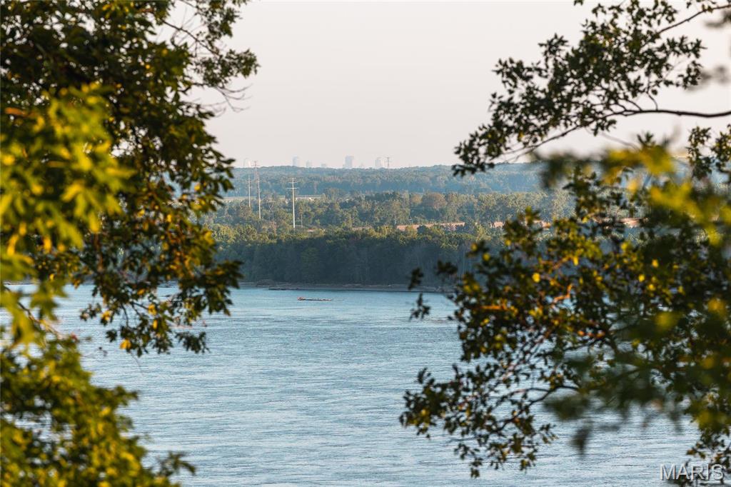 3 Fairmount Drive Alton, IL 62002 - Photo 15 of 96