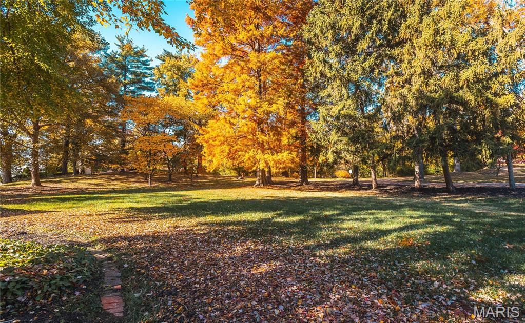 3 Fairmount Drive Alton, IL 62002 - Photo 87 of 96