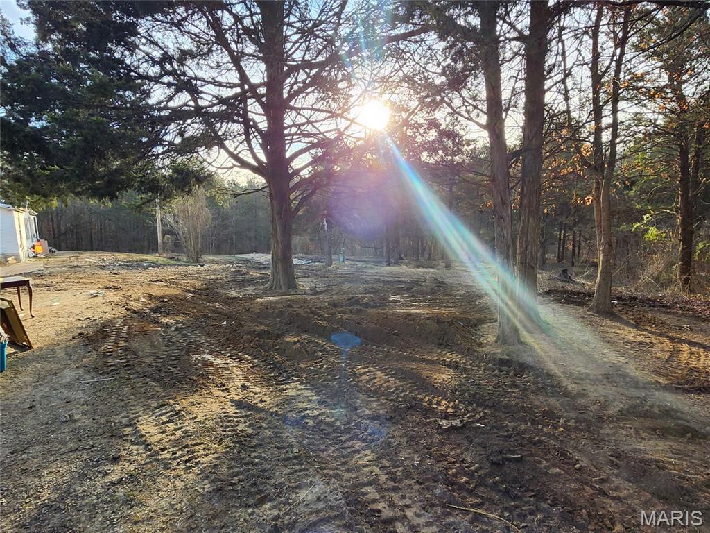 401 Hill Side Road De Soto, MO 63020 - Photo 2 of 11