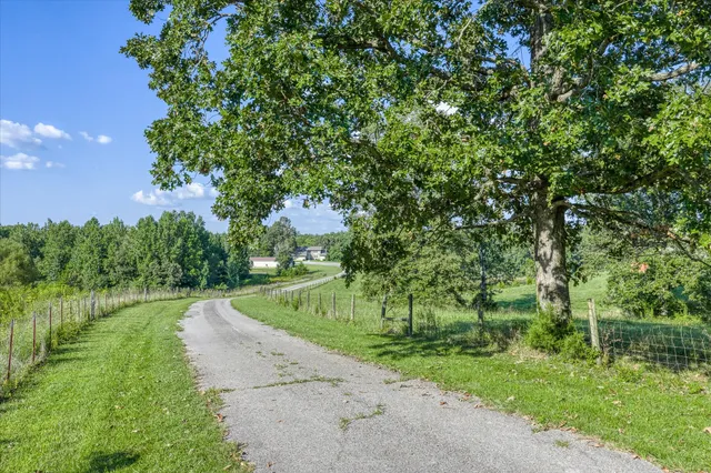 a view of a house with a big yard and large trees