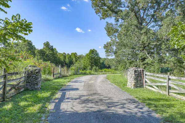 a view of a green yard