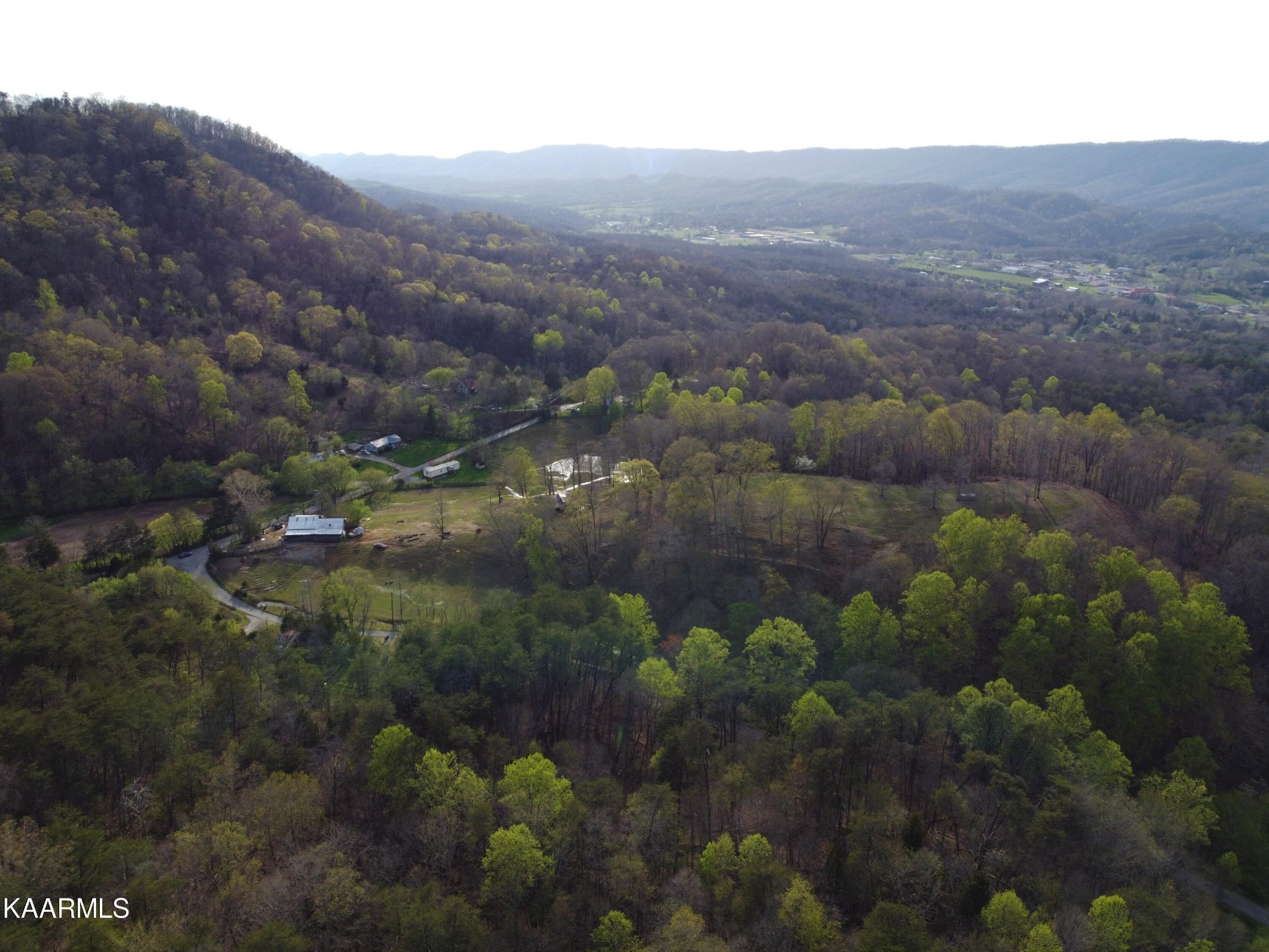 0 Lester Whitt Road Rutledge, TN 37861 - Photo 13 of 26 Gallery Image 13
