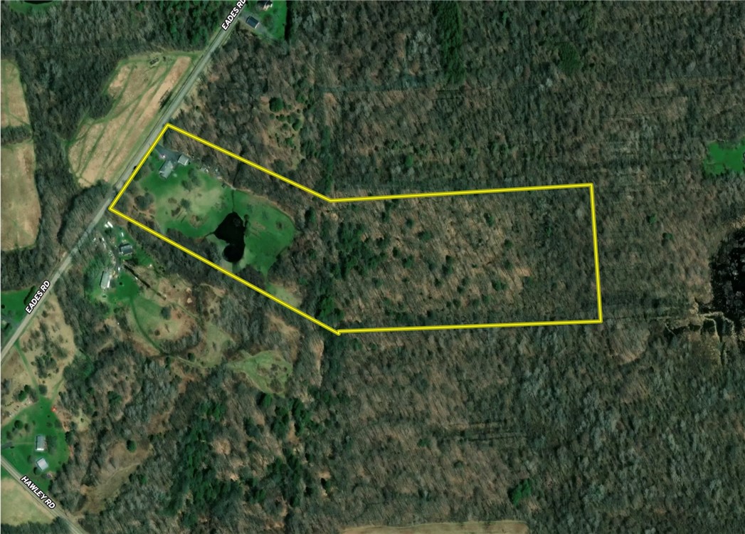 7488 Eades Road Red Creek, NY 13143 - Photo 46 of 50