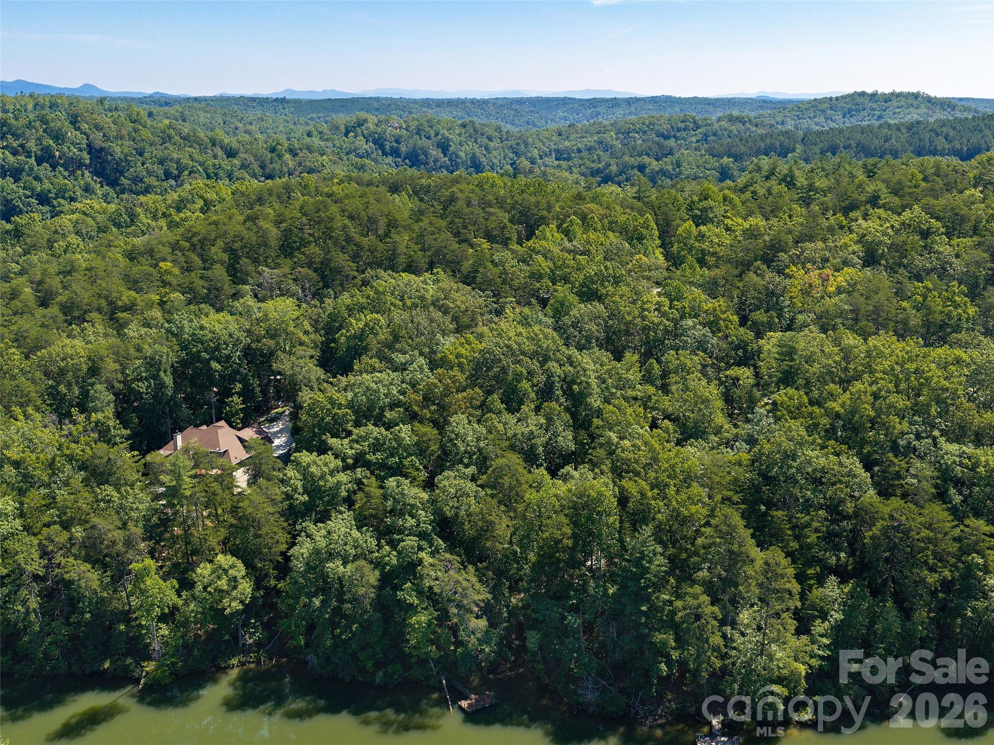 Lot #13 South Cove Rd Mill Spring Mill Spring, NC 28756 - Photo 13 of 16 a view of a city with lush green forest