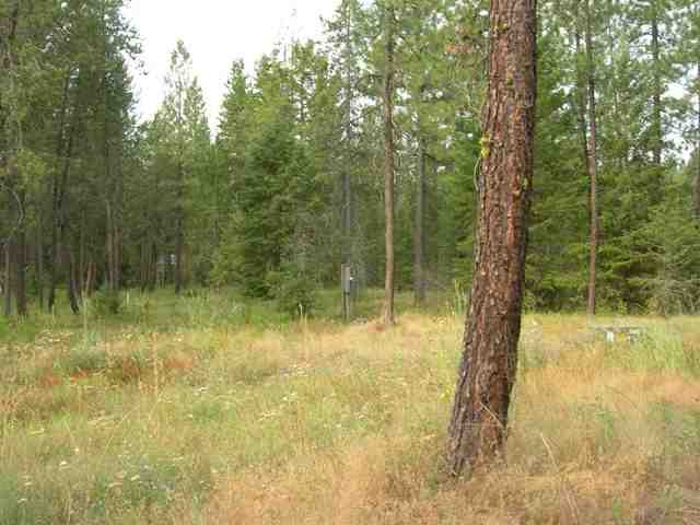 4354 Cemetery Road Springdale, WA 99173 - Photo 5 of 8