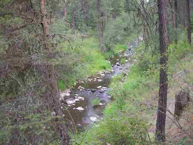 4354 Cemetery Road Springdale, WA 99173 - Photo 6 of 8