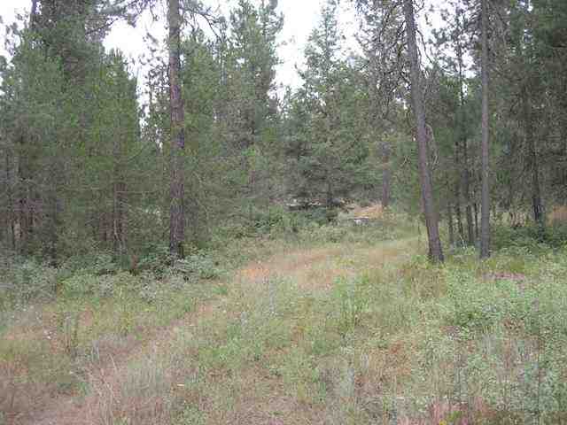 4354 Cemetery Road Springdale, WA 99173 - Photo 8 of 8