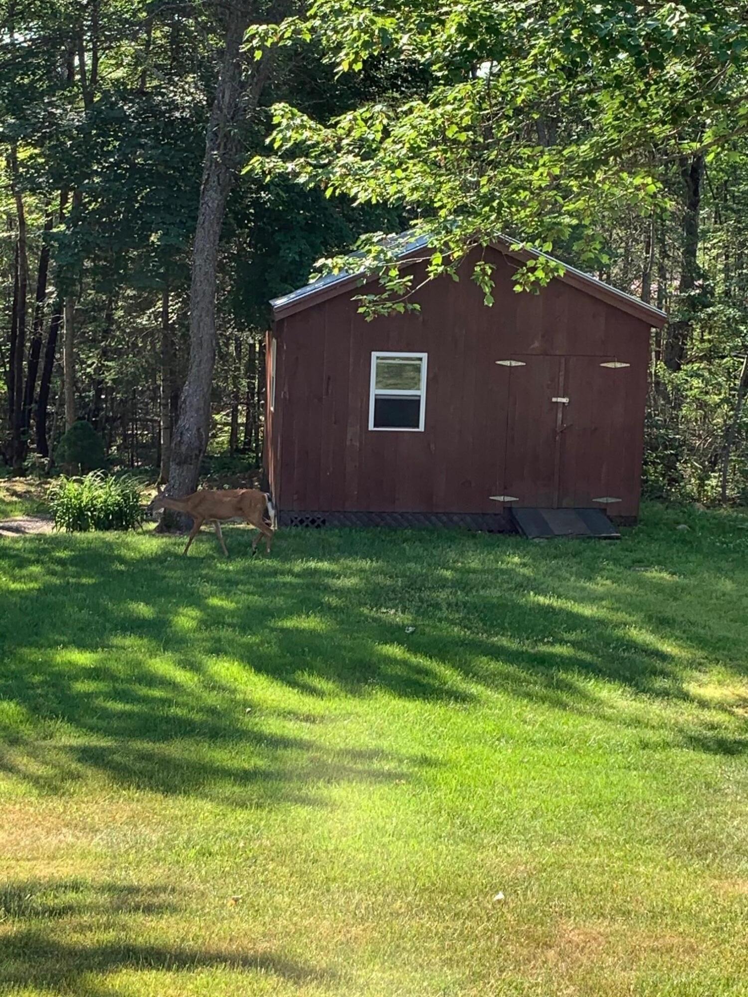 435 Lambert Road Brewer, ME 04412 - Photo 54 of 64 Shed with a visiting deer