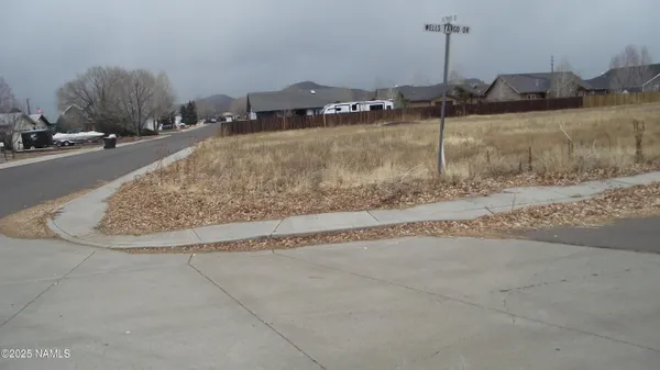a view of a dry yard with a tree
