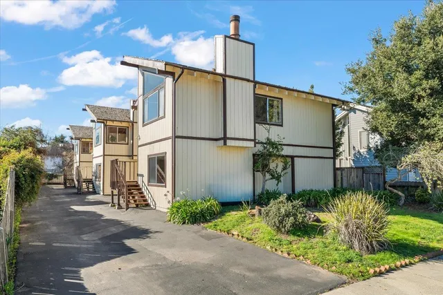a backyard of a house with a fountain plants and large tree