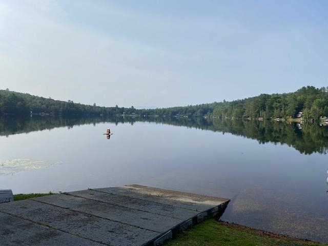 6 Spur Road Milan, NH 03588 - Photo 23 of 24
