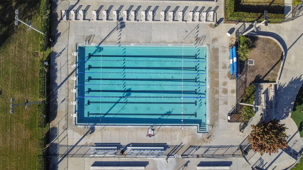 6212 Kentucky Avenue New Port Richey, FL 34653 - Photo 26 of 31