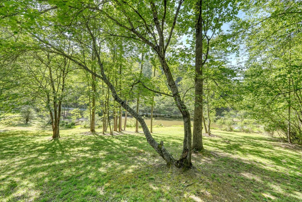 1493 Greasy Creek Road Brasstown, NC 28902 - Photo 36 of 51