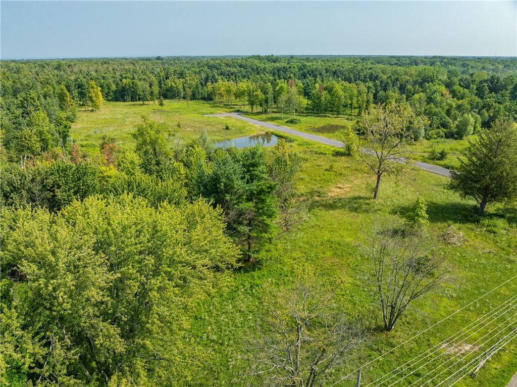 Lot 2 Clevenger Road Ontario, NY 14519 - Photo 2 of 10