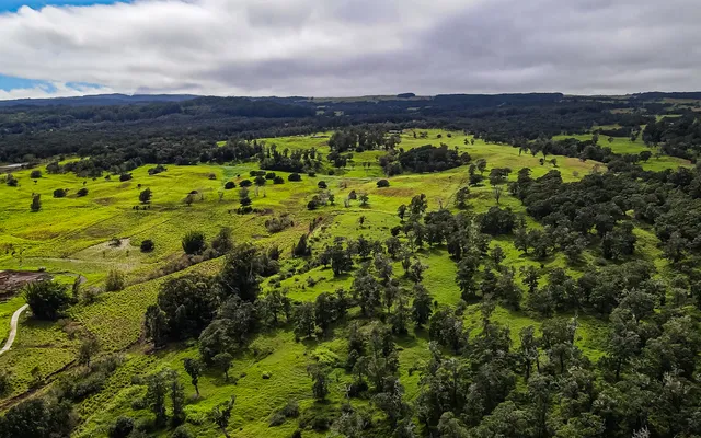 a view of a lake with a city