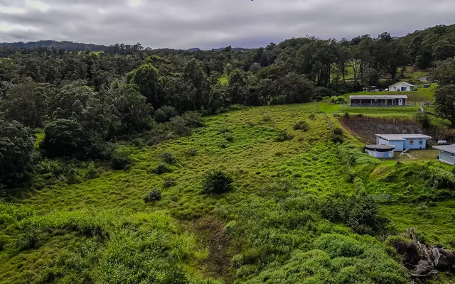 a view of a garden with an outdoor space