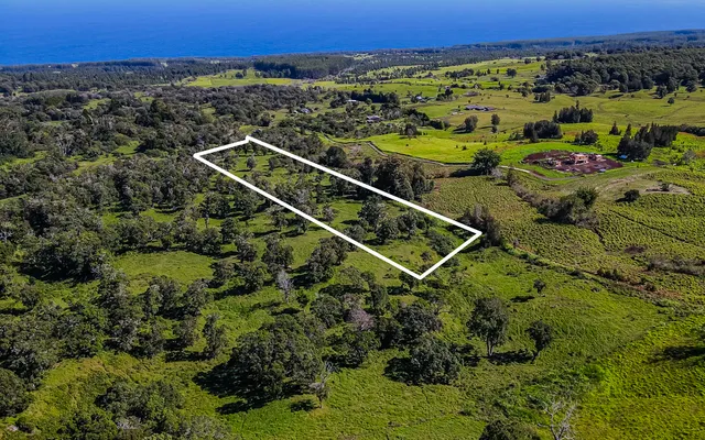 a view of a tennis court