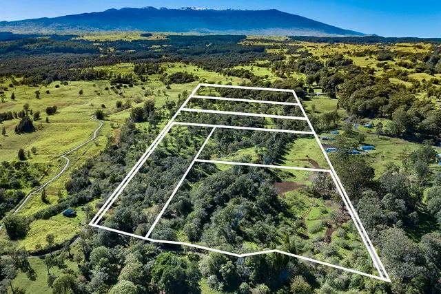 a view of a tennis court