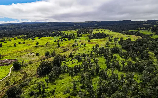 $1,895,000 | 43-1815 Manienie Road, Paauilo, HI 96776
