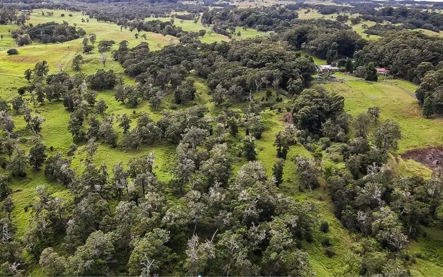 an aerial view of residential houses with outdoor space and trees