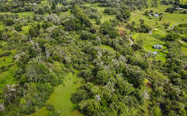 view of a field of grass and covered with green space