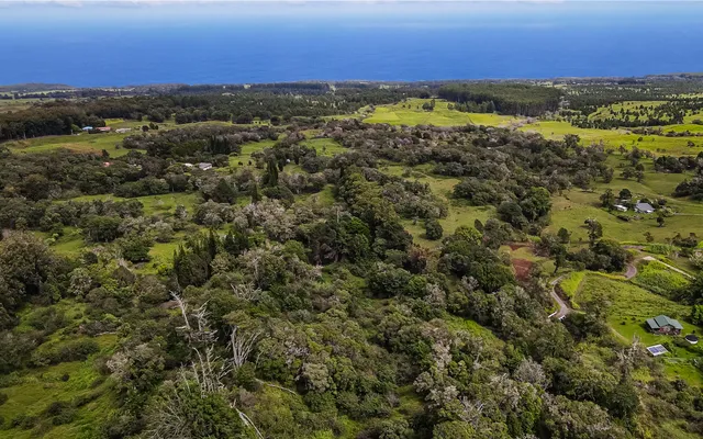 a view of a city with ocean view