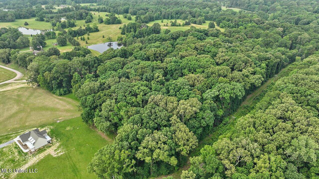 01-Clinton-Tinnin Rd