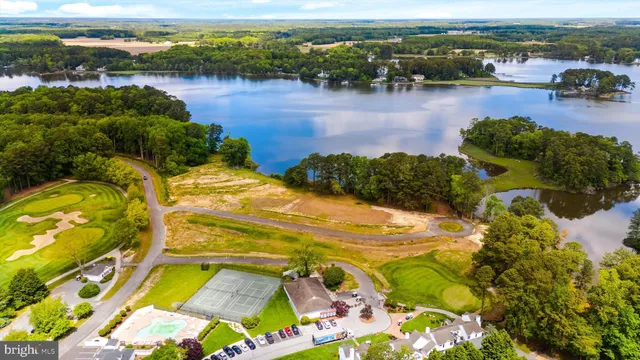 a view of a lake with a mountain and trees in the background