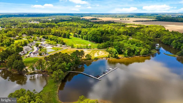 a view of a lake from a yard