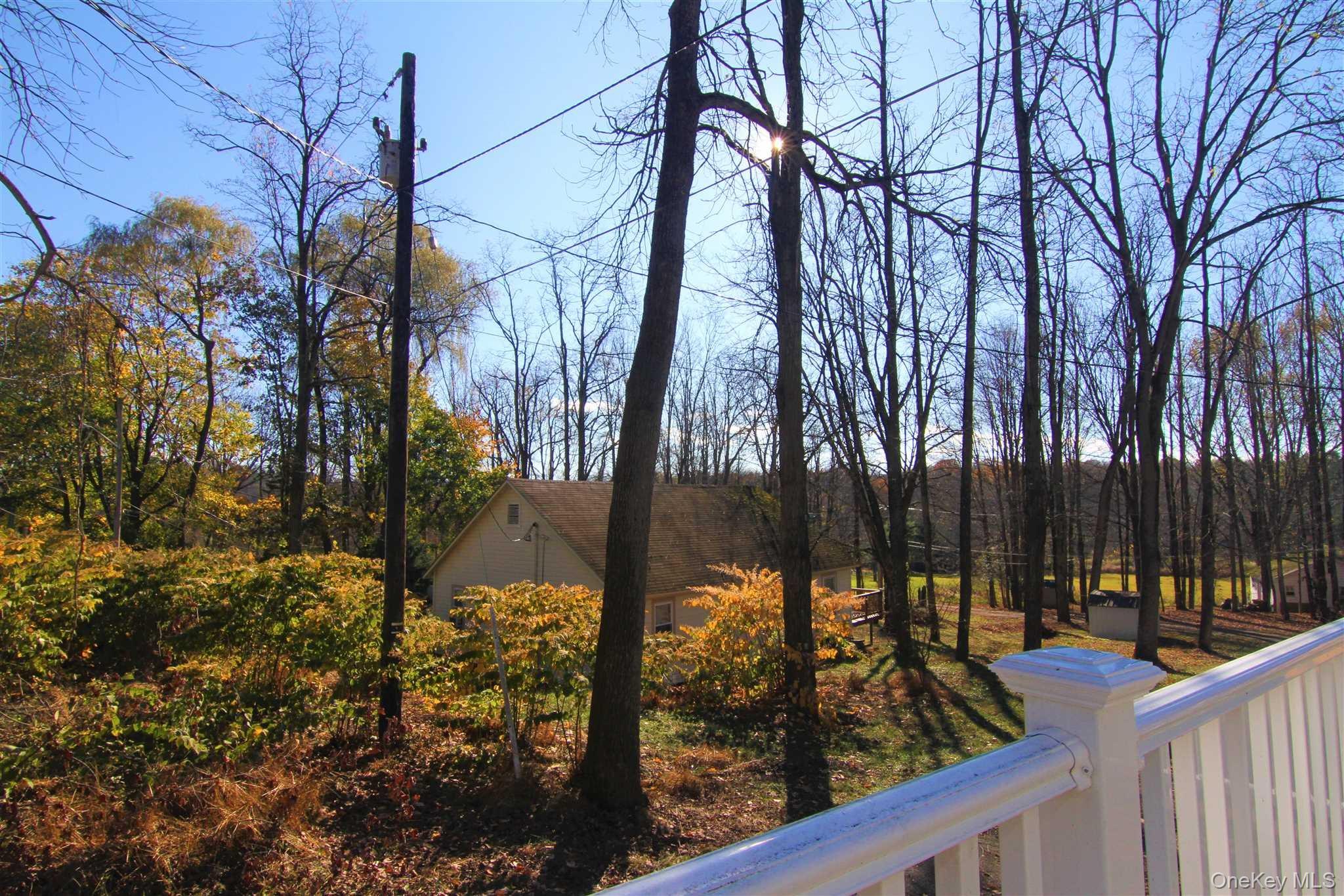 71 Miller Road, Unit 13 Hopewell Junction, NY 12533 - Photo 5 of 28 a view of a forest