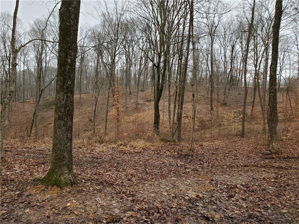 0 Lee Turner Road Columbus, IN 47201 - Photo 1 of 1