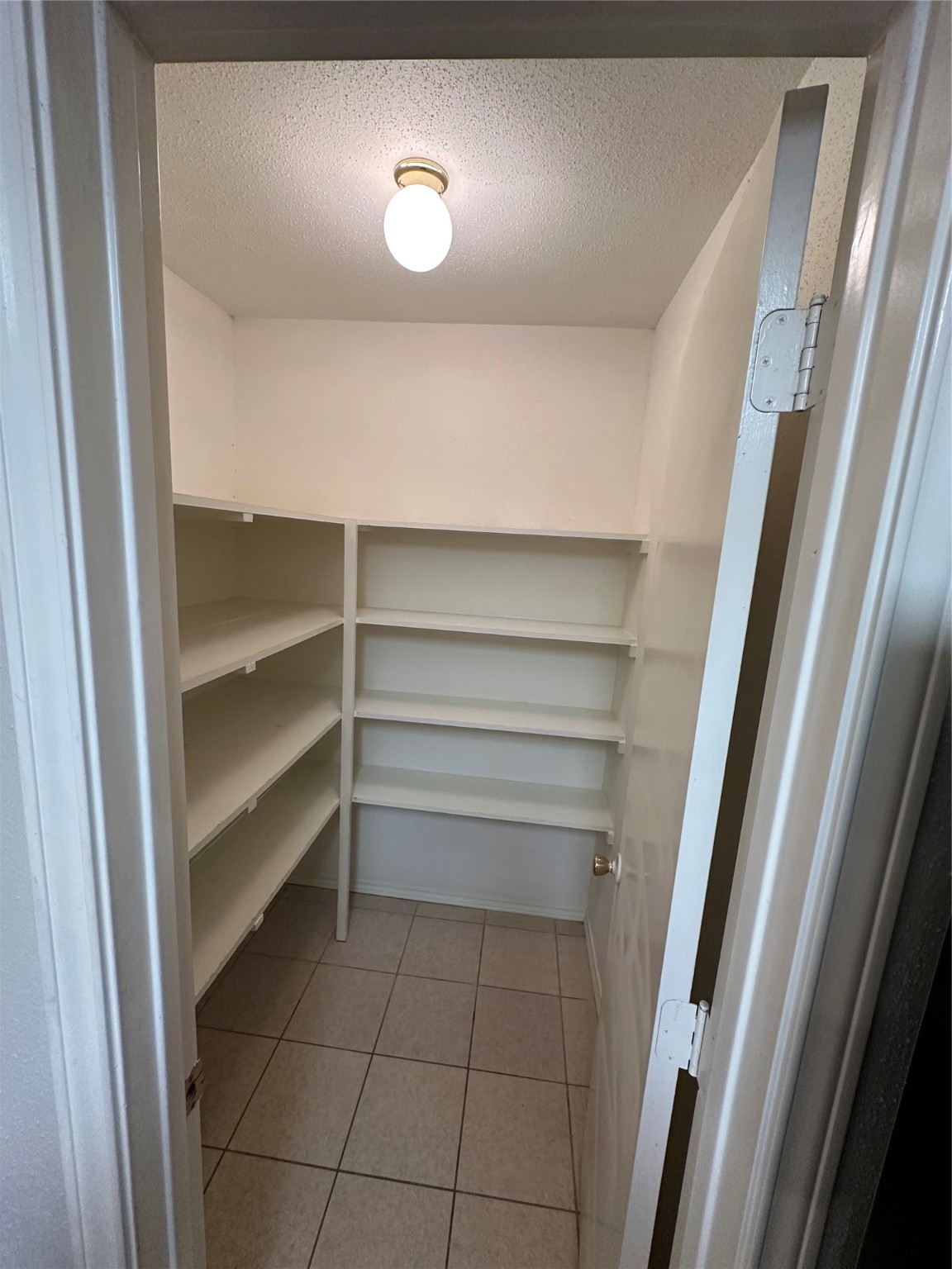 6500 Sands Point Drive, Unit 404 Houston, TX 77074 - Photo 11 of 27 a view of walk in closet with empty racks