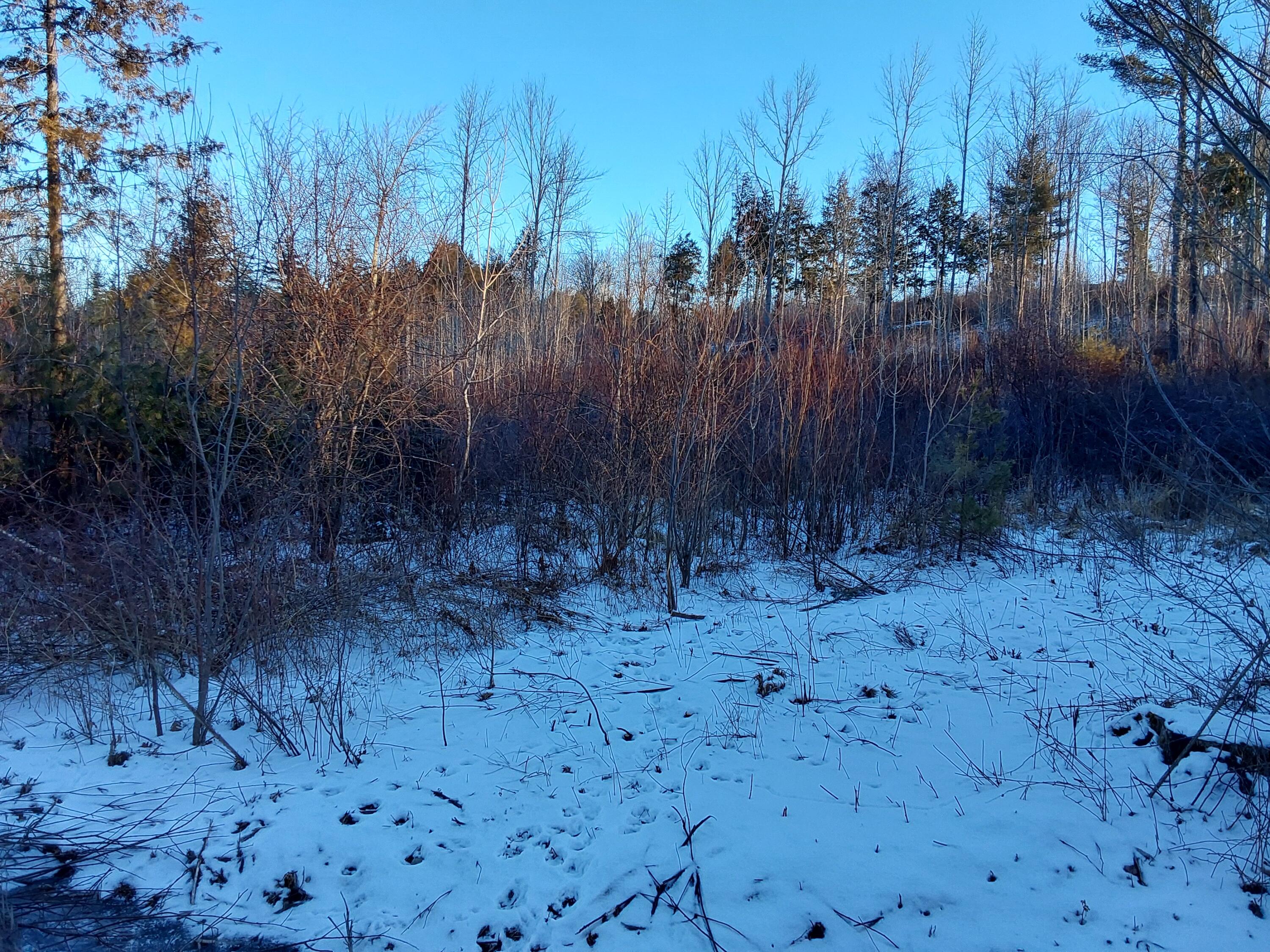 0 Muzzy Ridge Road Searsmont, ME 04973 - Photo 1 of 1 20250116_080358