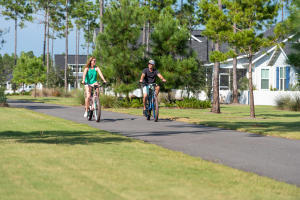 226 Suwannee Drive, Unit LOT 96 Watersound, FL 32461 - Photo 3 of 17 a front view of a house with a yard