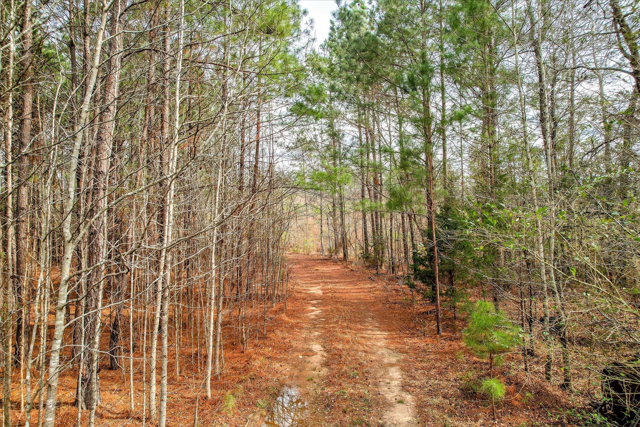 0 Appling Harlem Road Harlem, GA 30814 - Photo 2 of 6 05-105