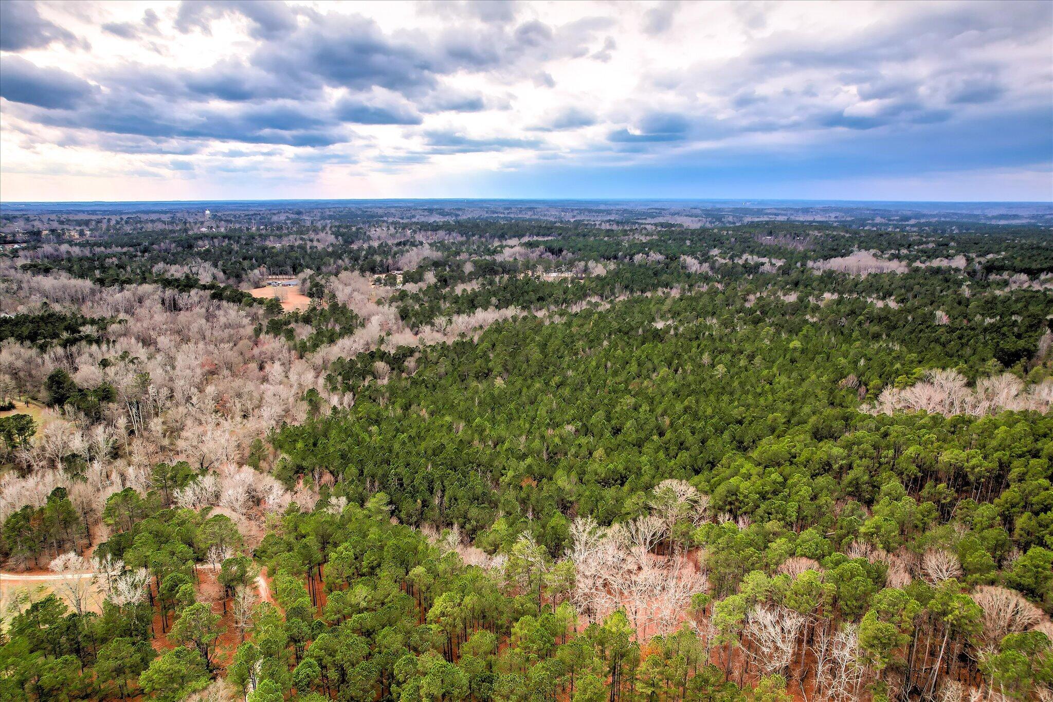 0 Appling Harlem Road Harlem, GA 30814 - Photo 3 of 6 18-118