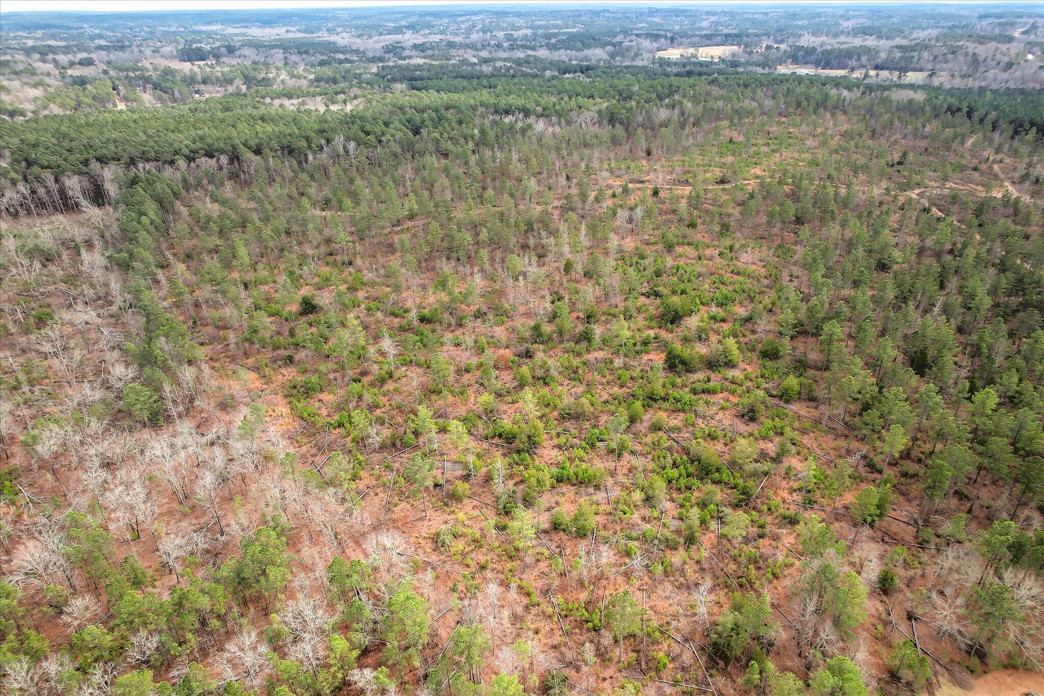 0 Appling Harlem Road Harlem, GA 30814 - Photo 4 of 6 01-101