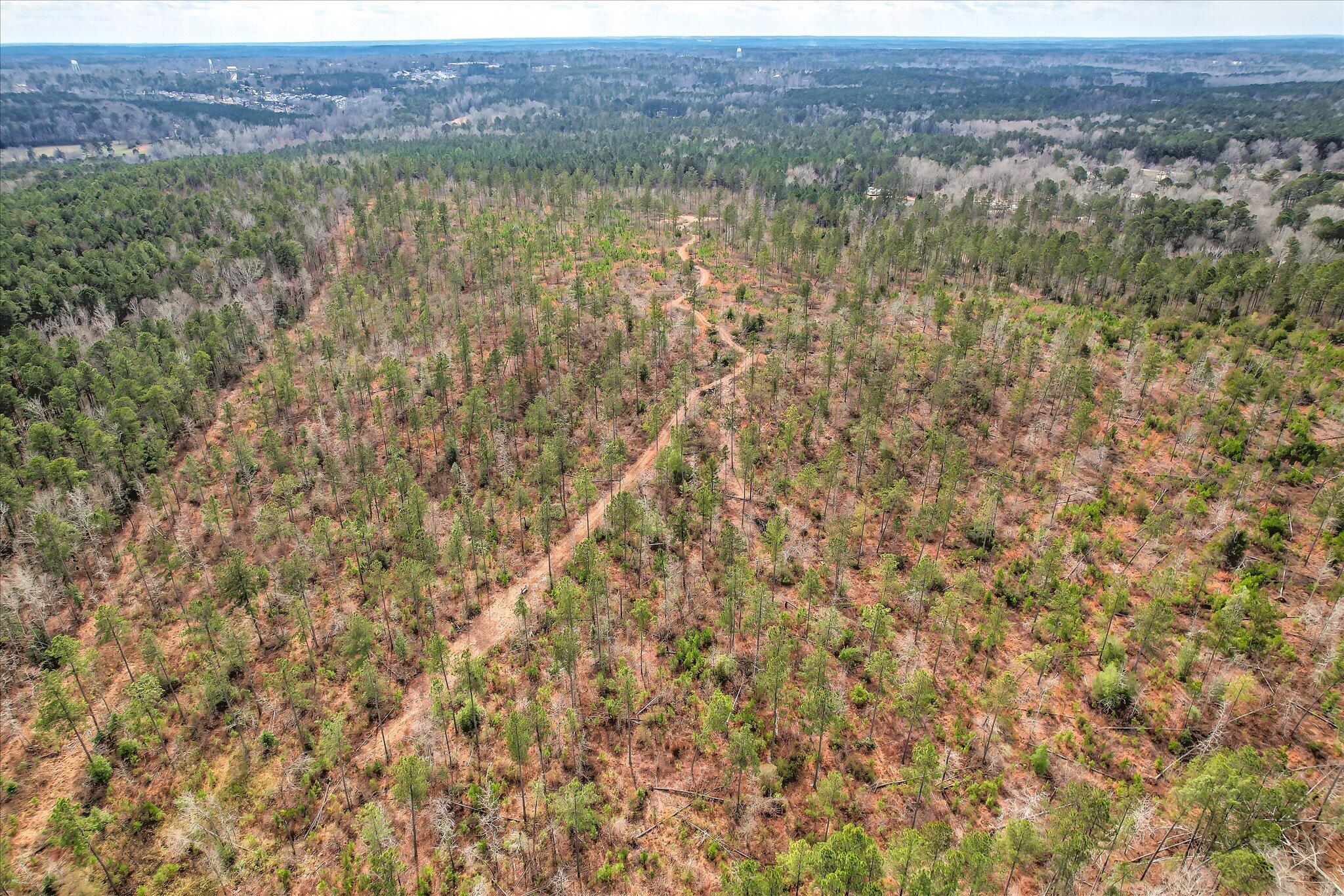 0 Appling Harlem Road Harlem, GA 30814 - Photo 5 of 6 04-104