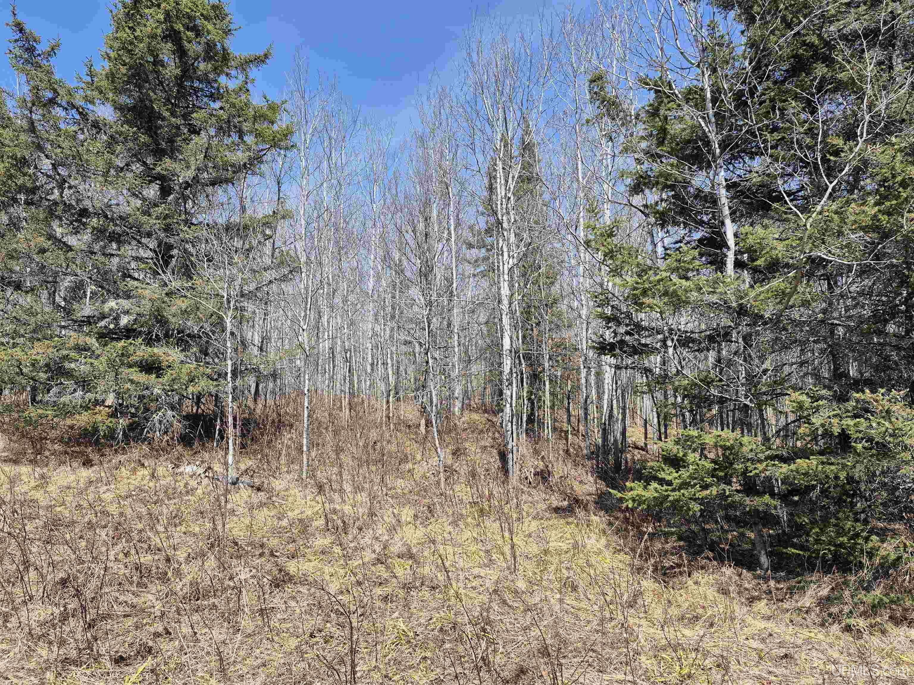 M69 Rd Crystal Falls Crystal Falls, MI 49920 - Photo 21 of 26