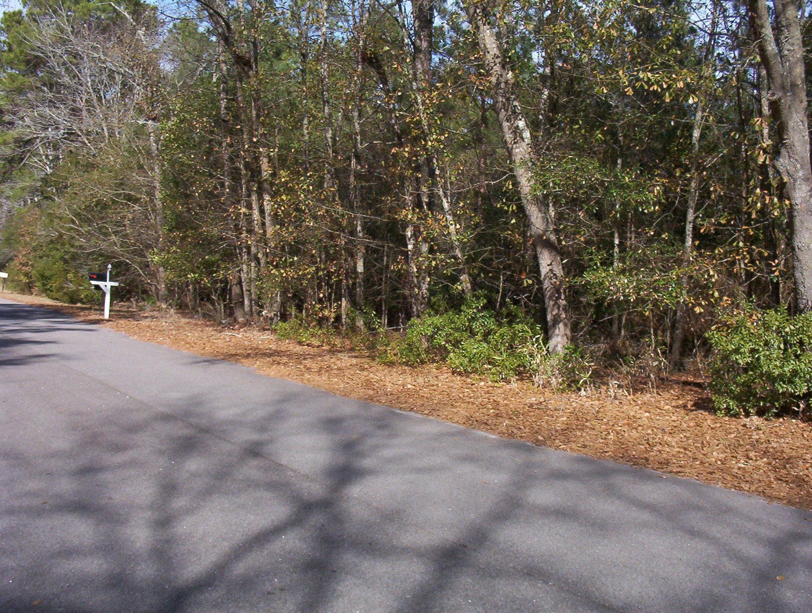0 Waverly Road Walterboro, SC 29488 - Photo 1 of 6 100_1152