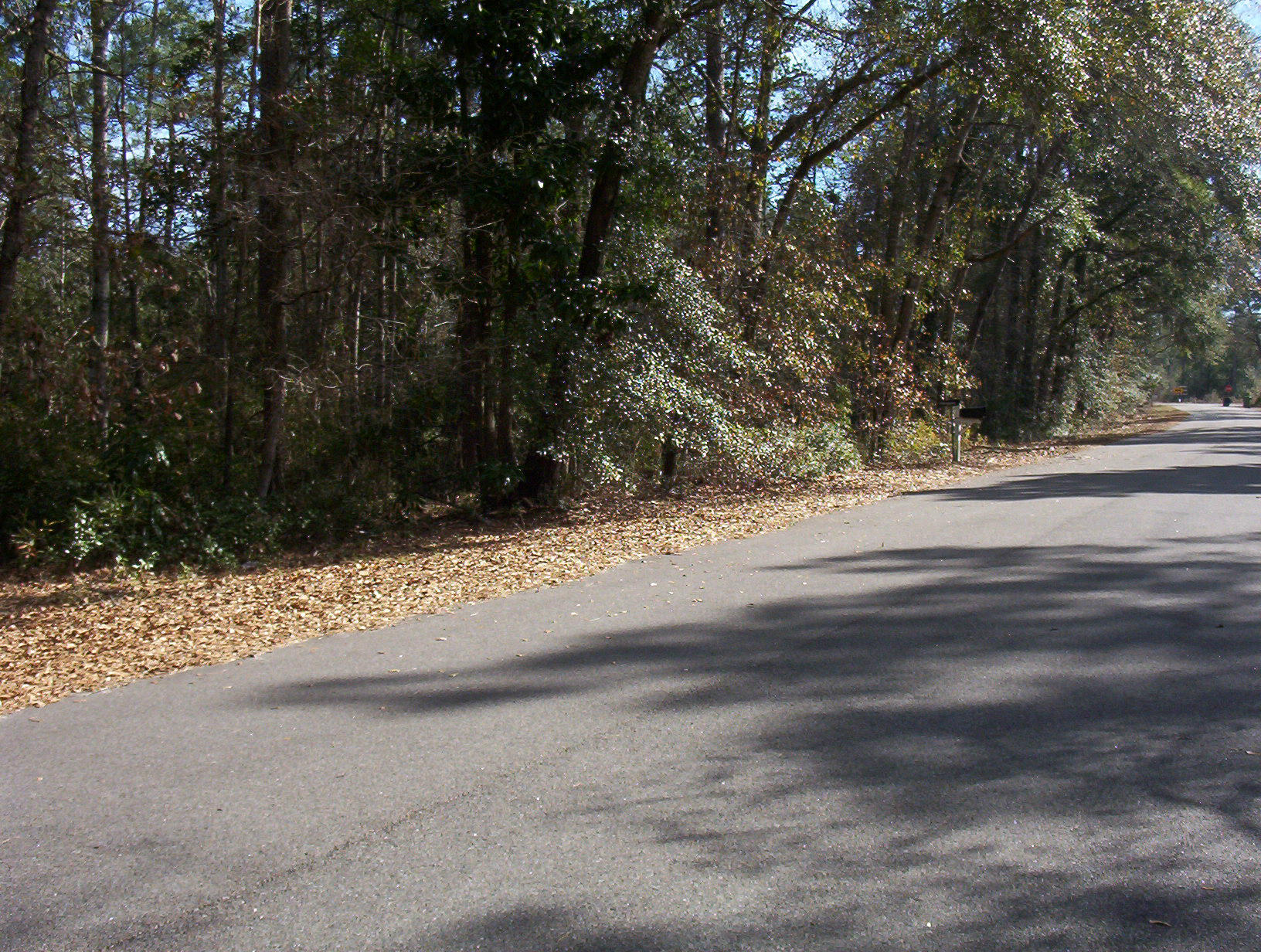 0 Waverly Road Walterboro, SC 29488 - Photo 2 of 6 100_1153