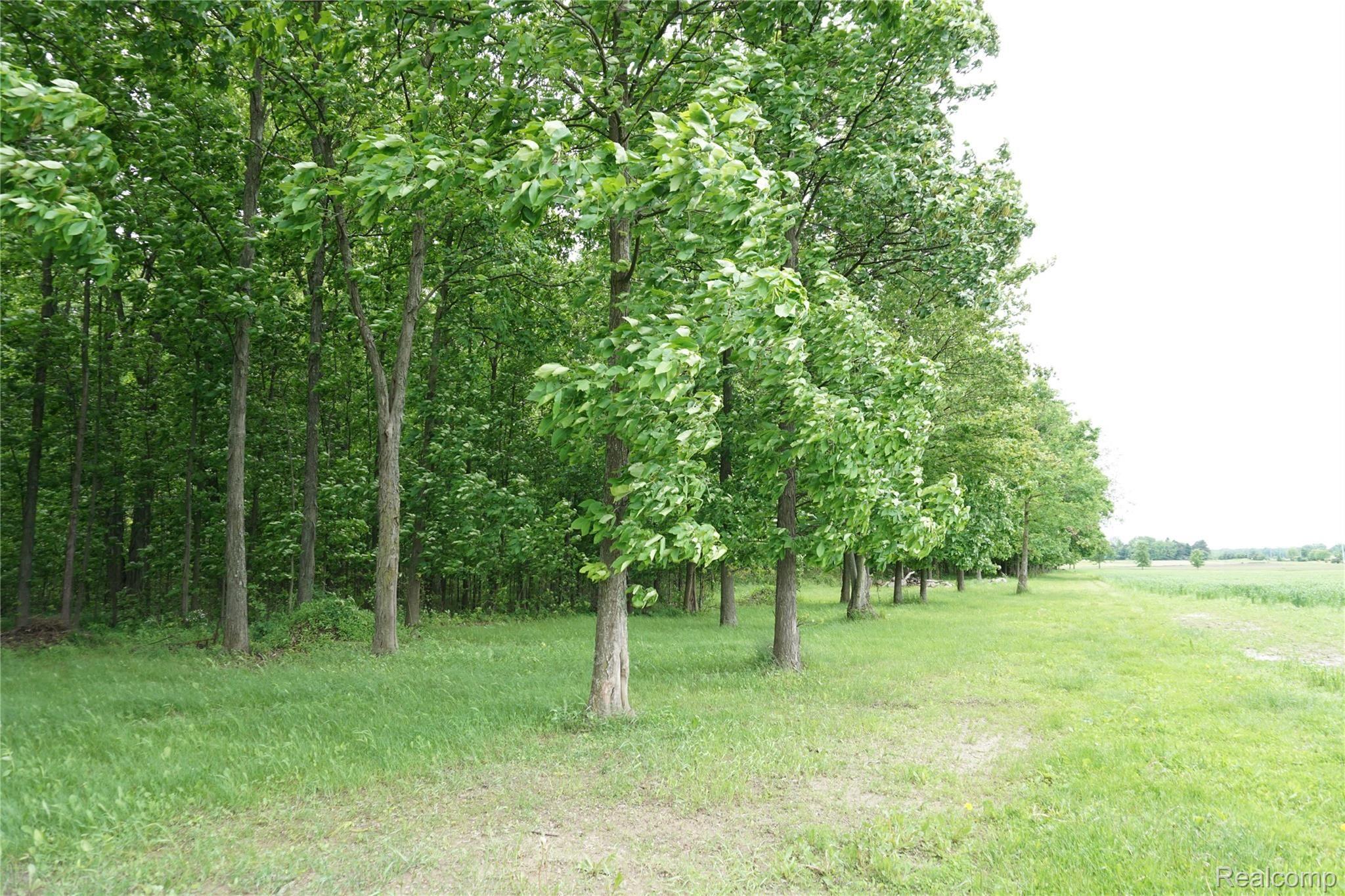 8866 Bricker Road Avoca, MI 48006 - Photo 31 of 51 8866 Bricker