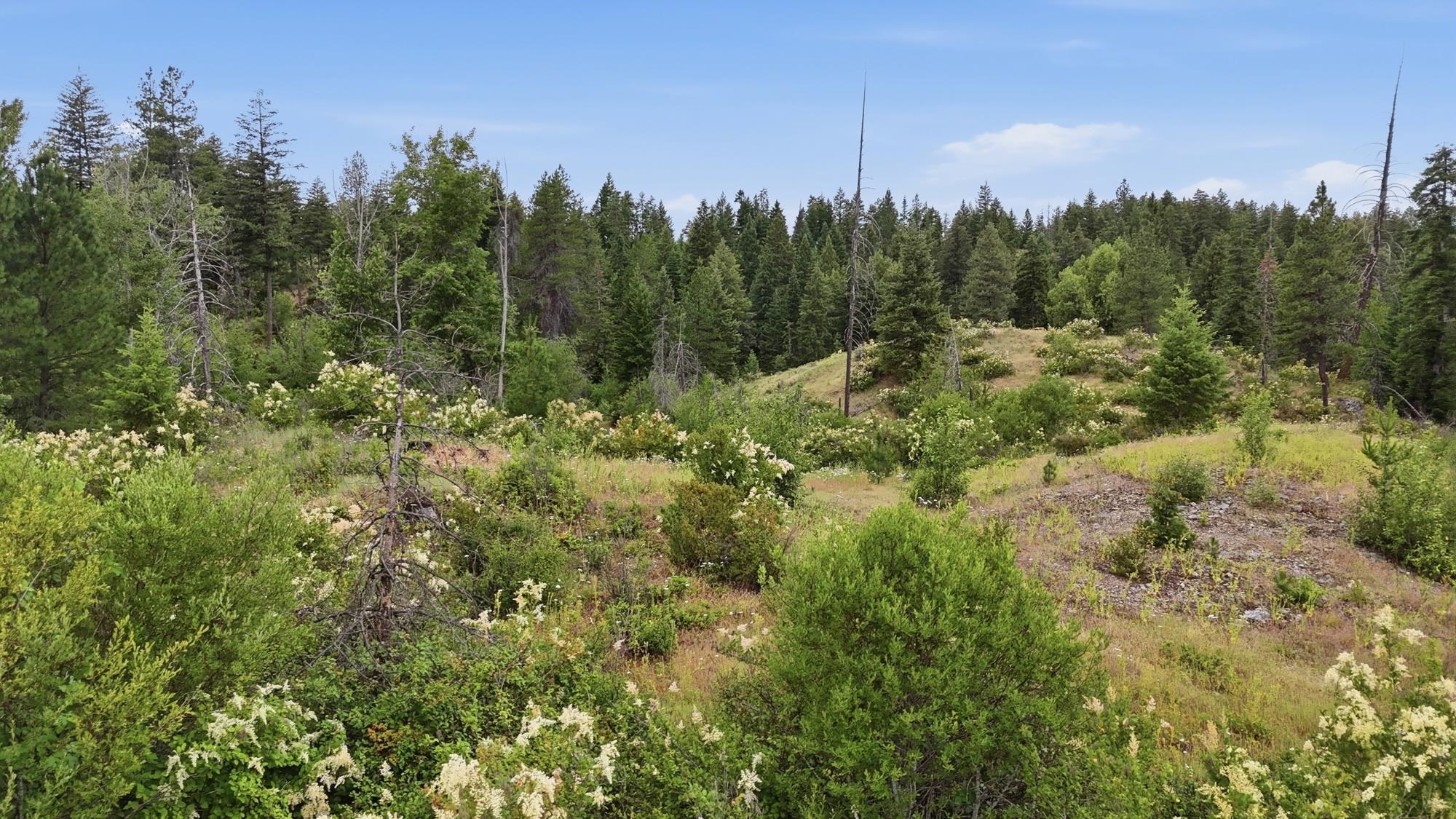 42700 North Hatch Road Deer Park, WA 99006 - Photo 16 of 16