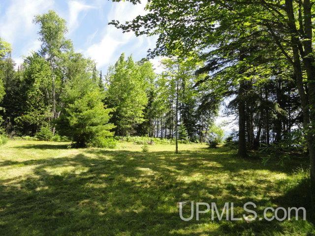 Tbd Puuri Road Baraga, MI 49908 - Photo 7 of 20