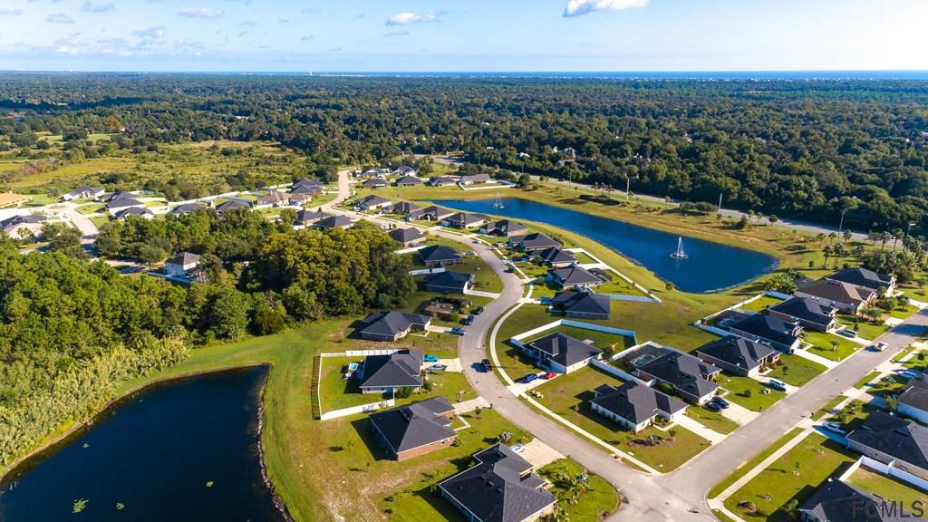 20 Turtle Ridge Drive Flagler Beach, FL 32136 - Photo 44 of 47 an aerial view of residential houses with outdoor space