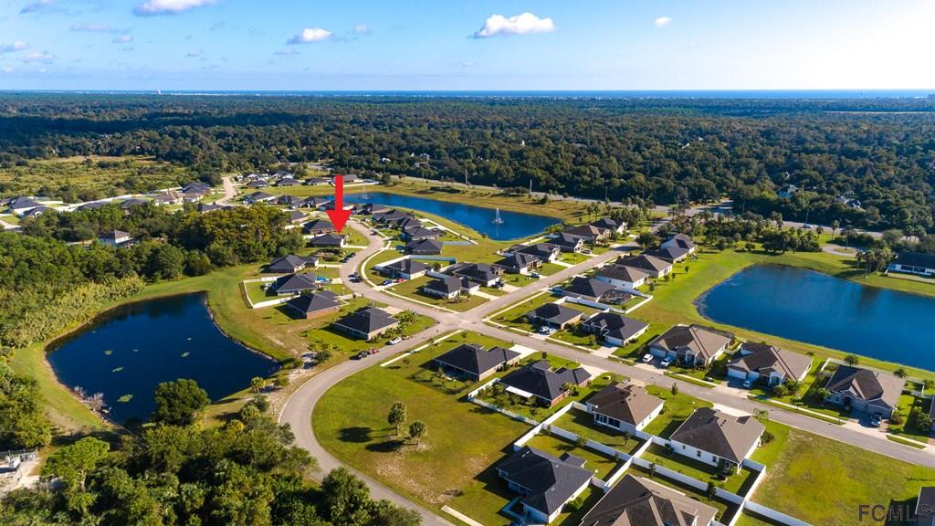 20 Turtle Ridge Drive Flagler Beach, FL 32136 - Photo 45 of 47 an aerial view of residential houses with outdoor space