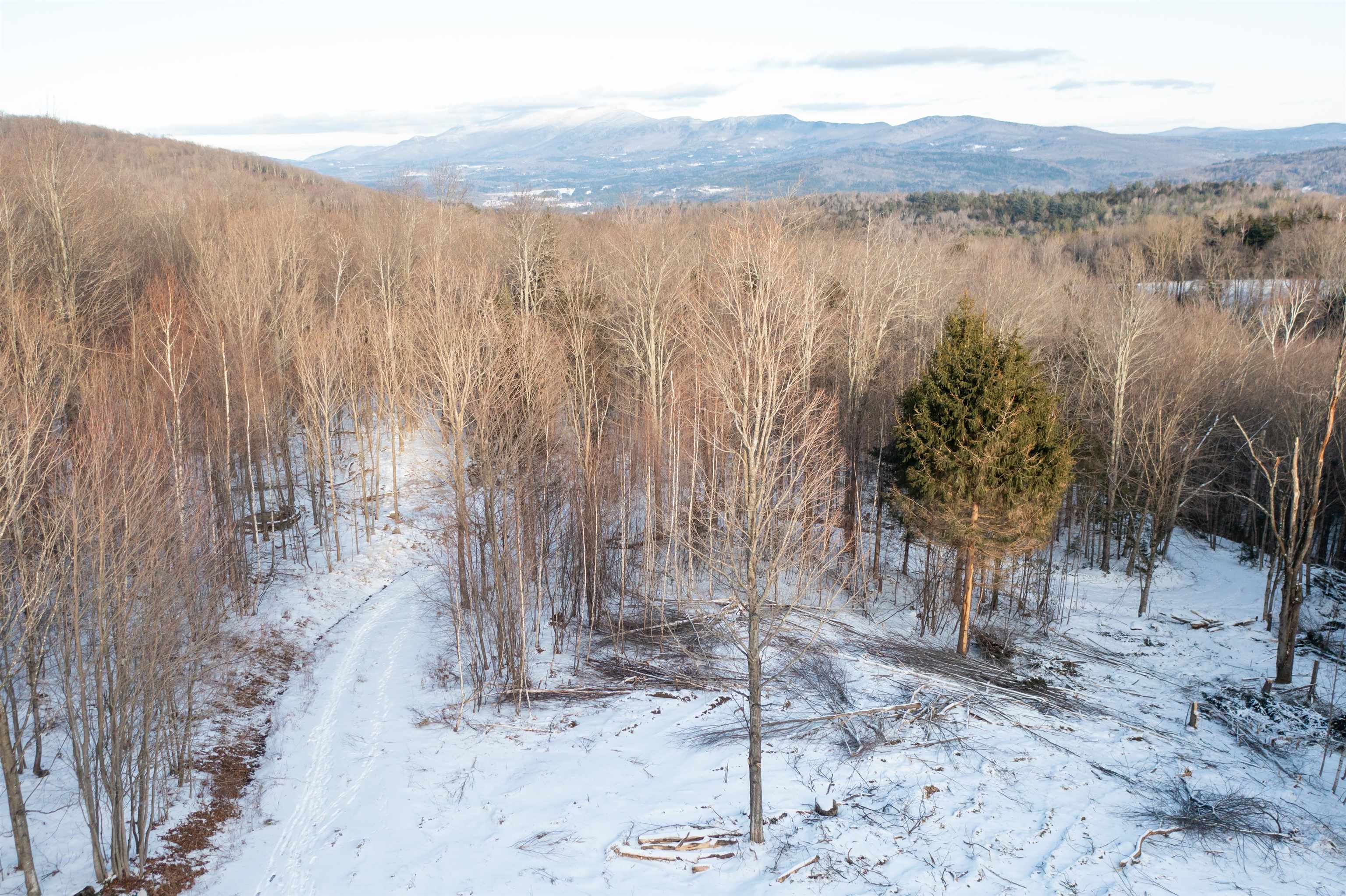 0 Hayes Road Waterbury, VT 05676 - Photo 3 of 10 Gallery Image 3