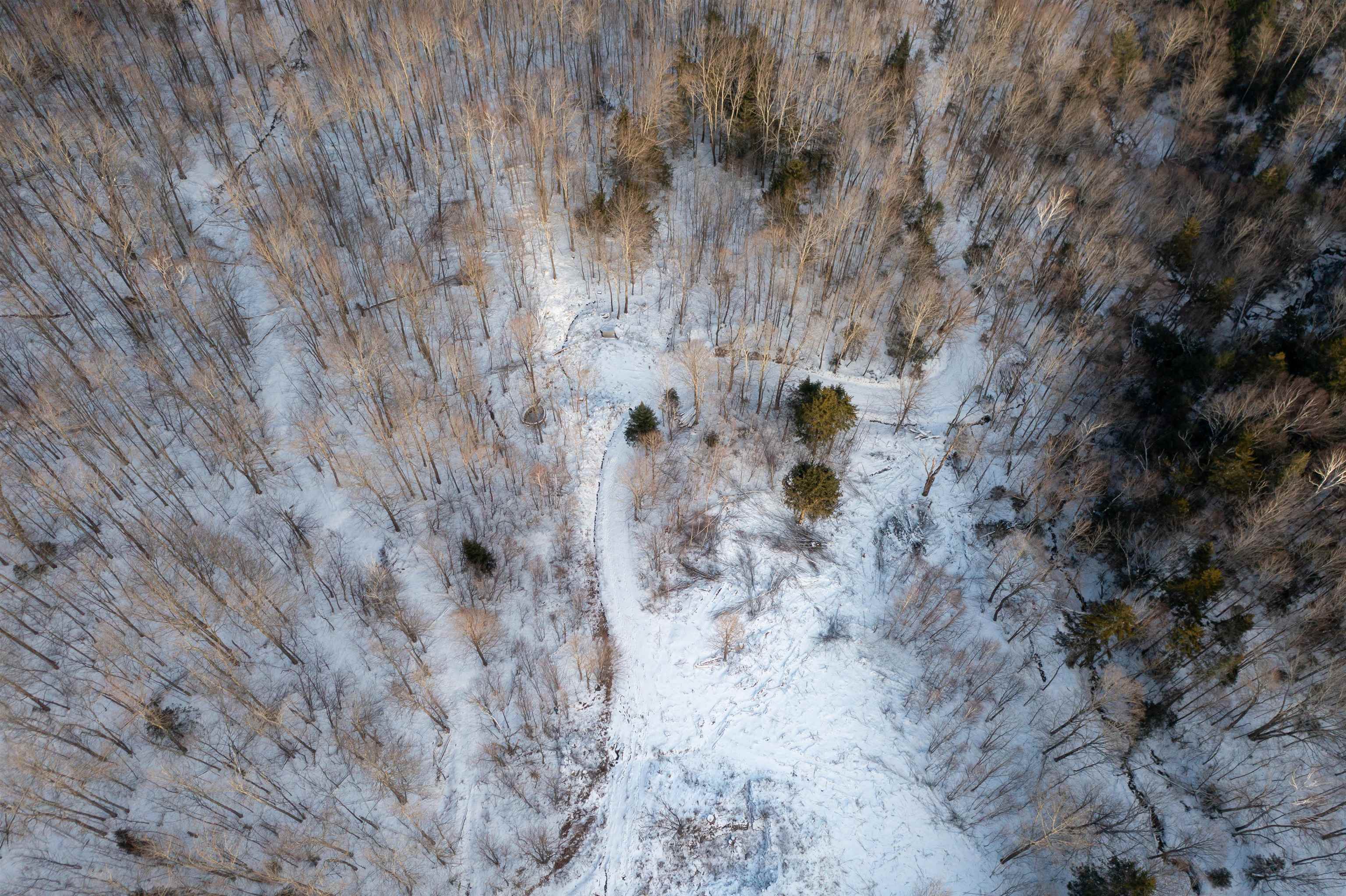 0 Hayes Road Waterbury, VT 05676 - Photo 6 of 10 Gallery Image 6