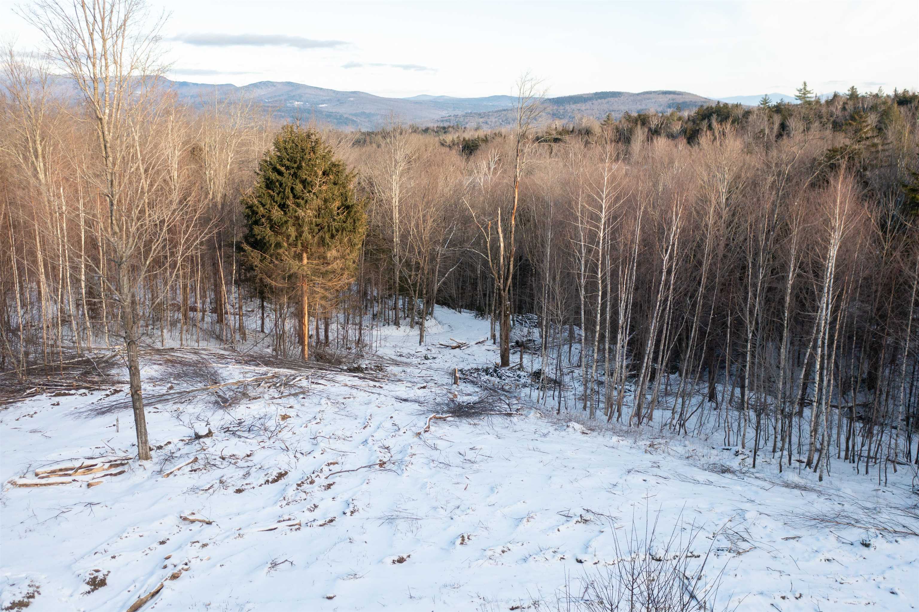 0 Hayes Road Waterbury, VT 05676 - Photo 8 of 10 Gallery Image 8