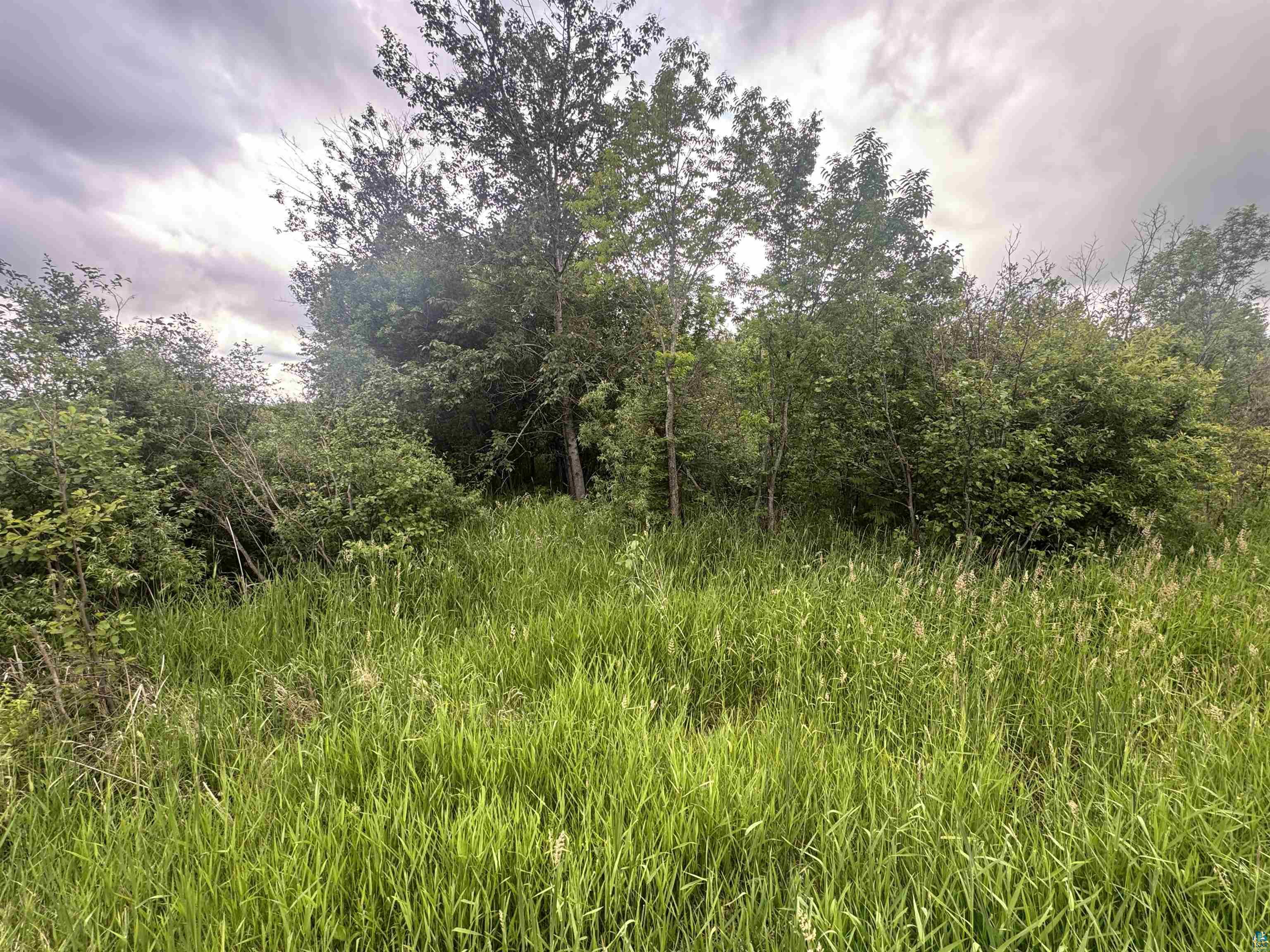 8-xxx Town Line Road Forbes, MN 55738 - Photo 4 of 12